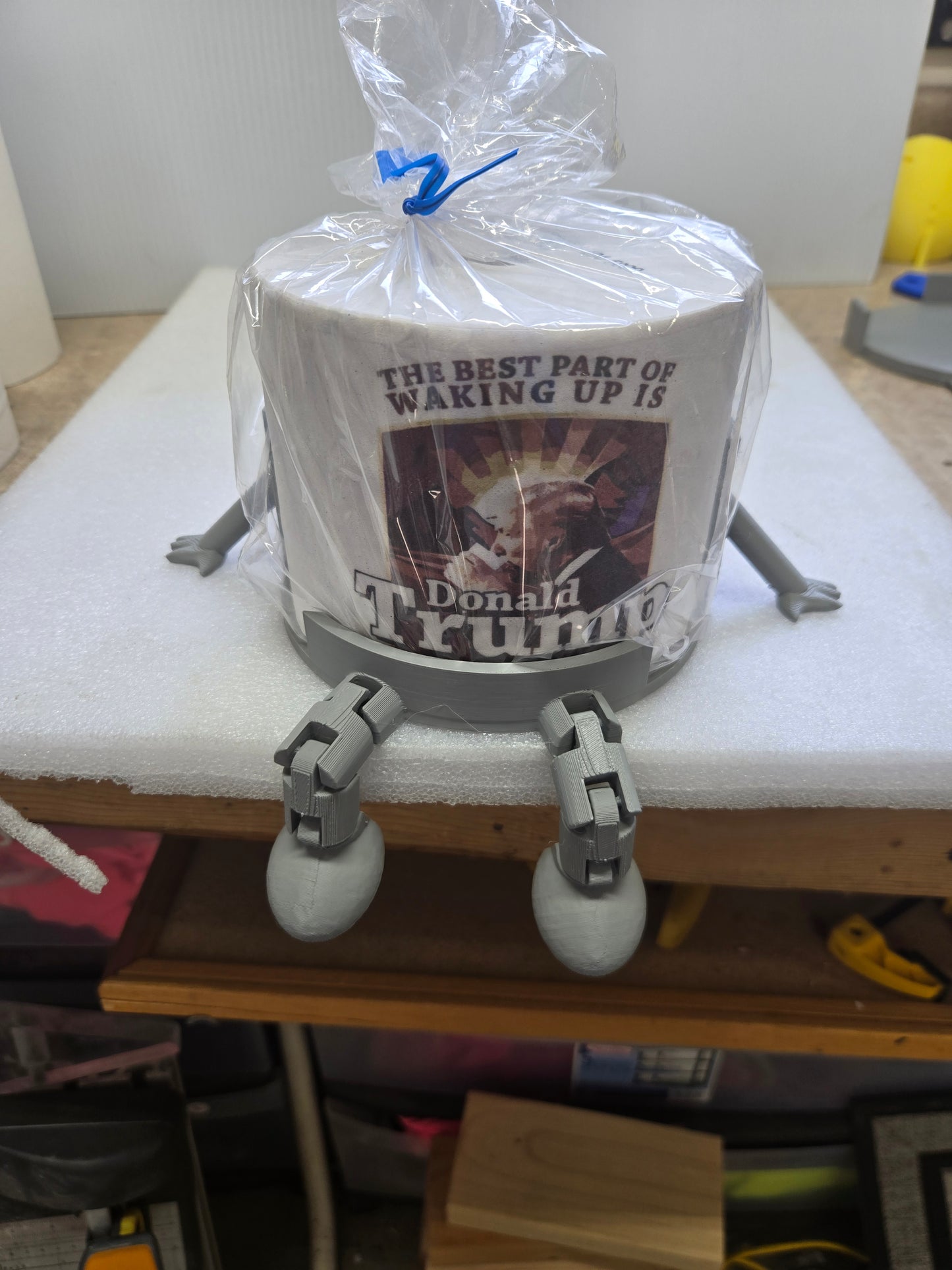 Toliet Paper Holder with the Toilet Paper