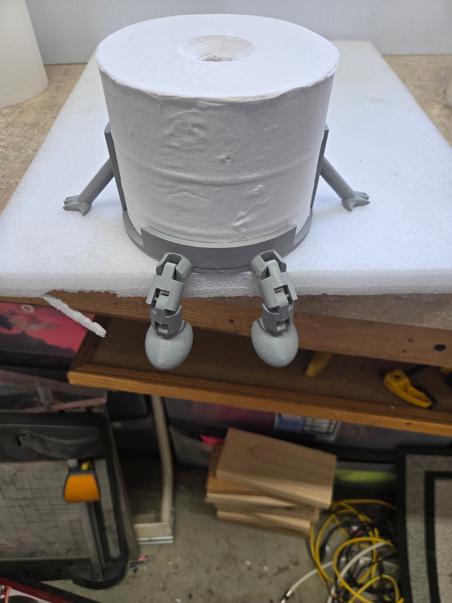 Toliet Paper Holder with the Toilet Paper