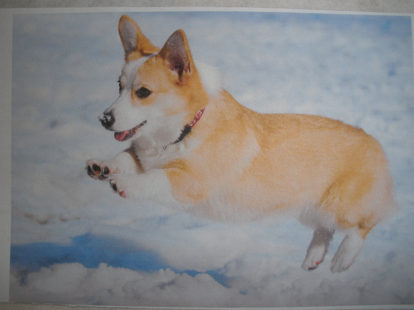 Pembroke Welsh 11 oz Coffee Mug