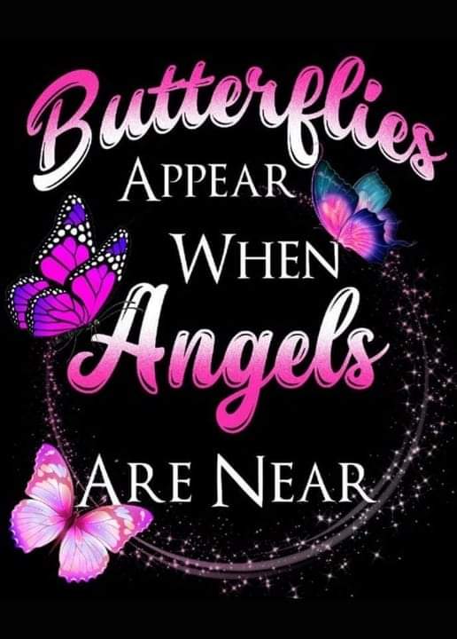 Twenty OZ Tumbler Butterflies