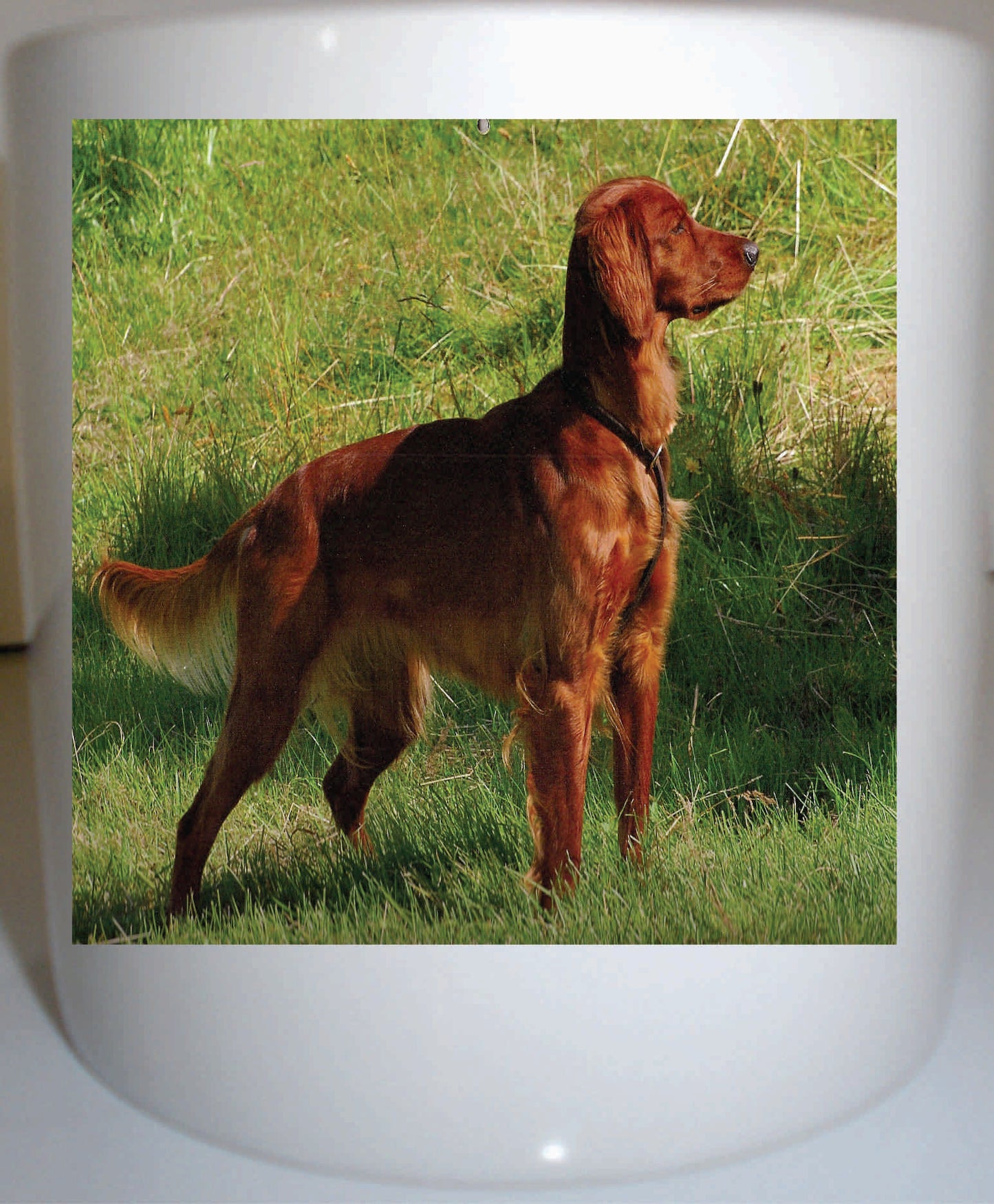 Irish Setter Coffee Mug 11 Oz Ceramic