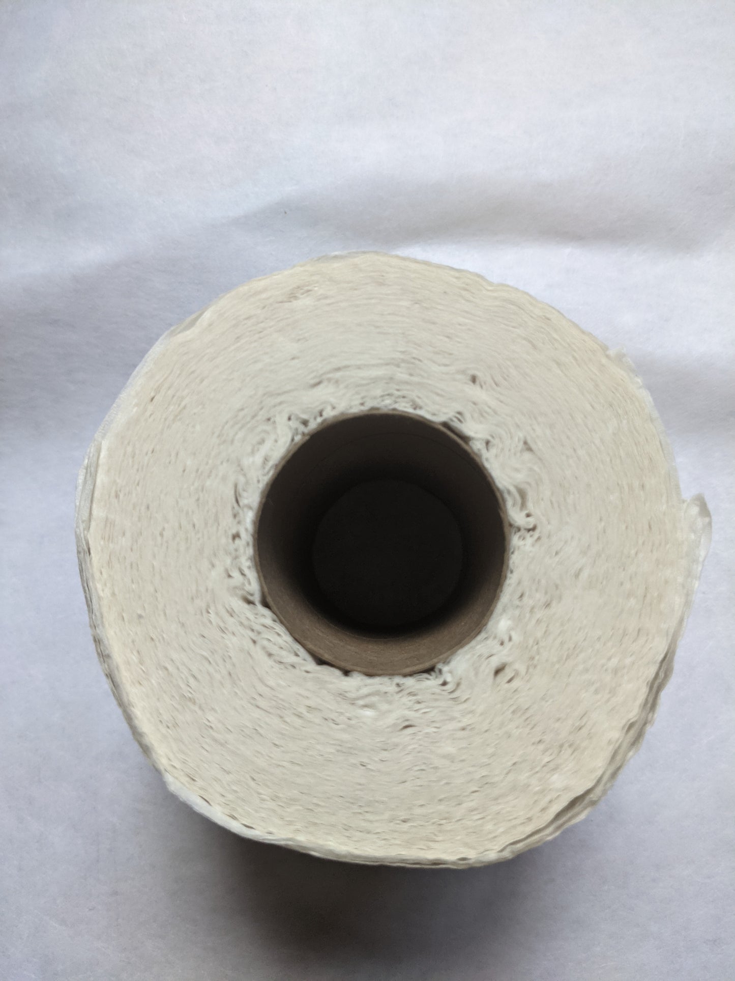 Toilet Paper Roll - Worlds Worst Job  Custom Made